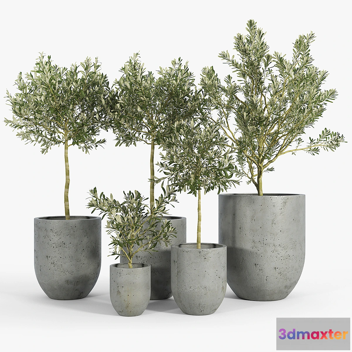 714594 - Neo Planter Extra Small Lead - No.2