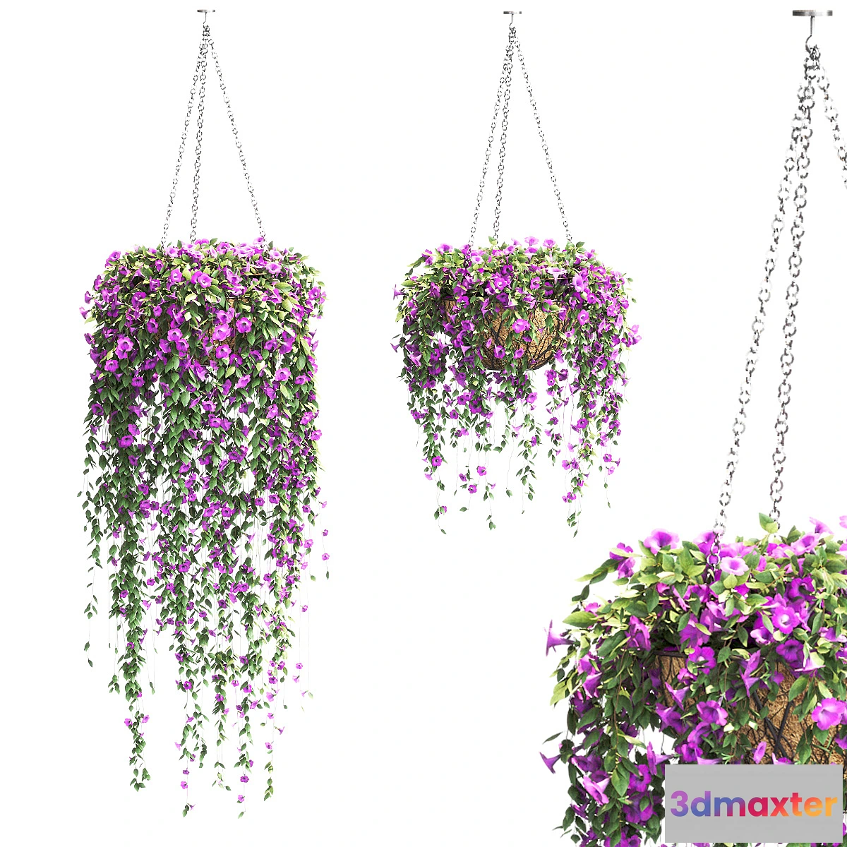 714620 - Petunia in hanging pots. 2 models - No.2