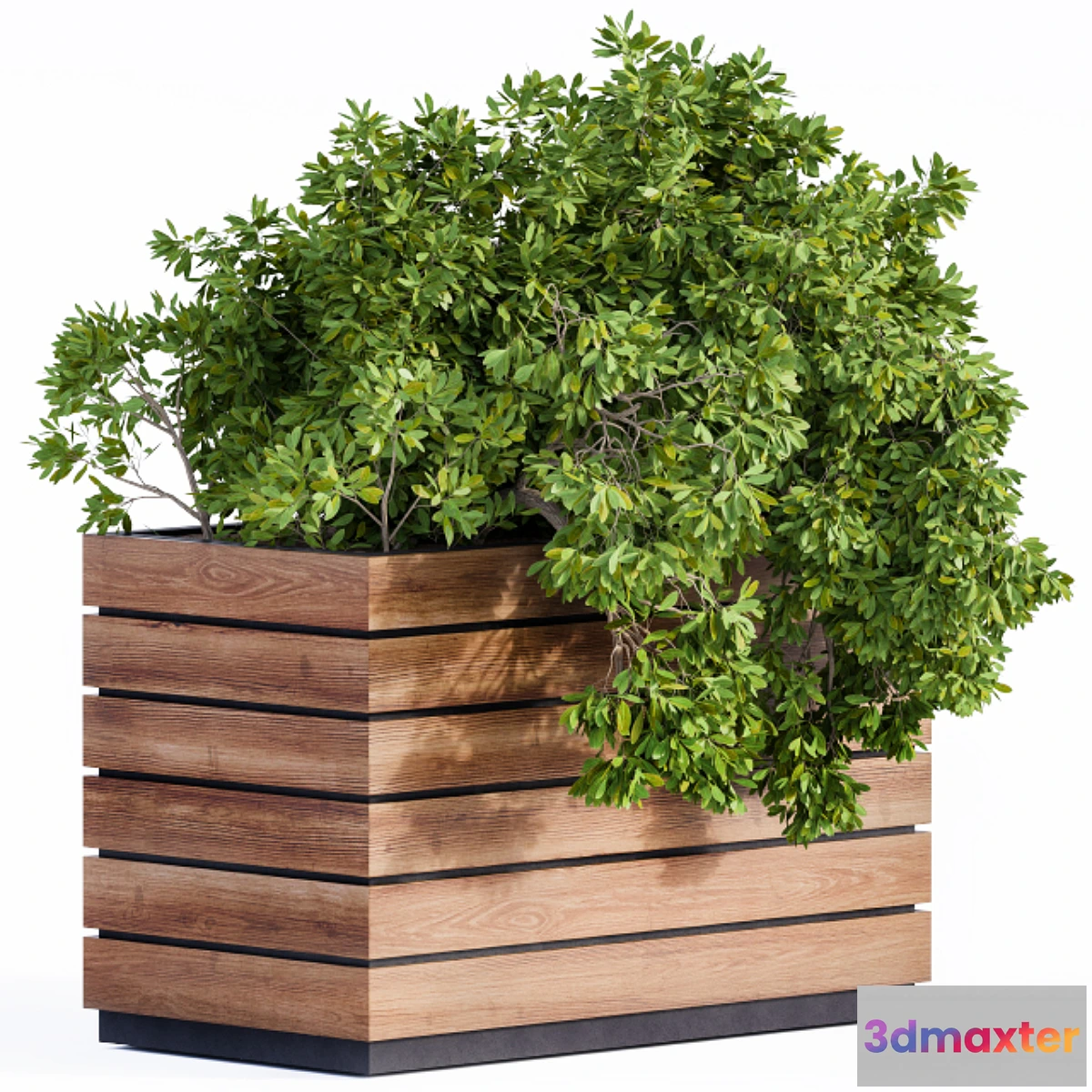 714640 - Plant Box Green & Wood - No.2