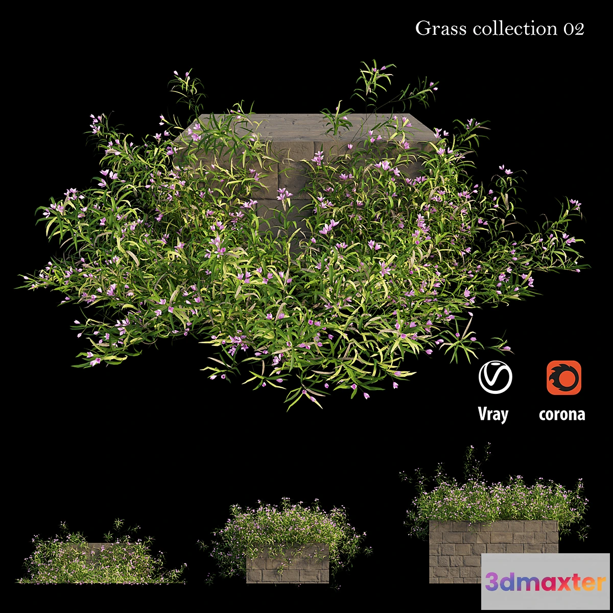 714672 - Grass collection 02 - No.2
