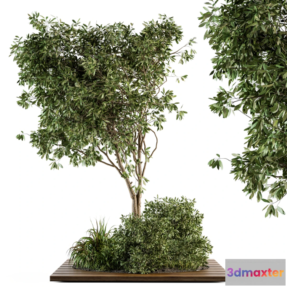 714688 - Garden set bush and Tree - Garden Set 05 - No.2