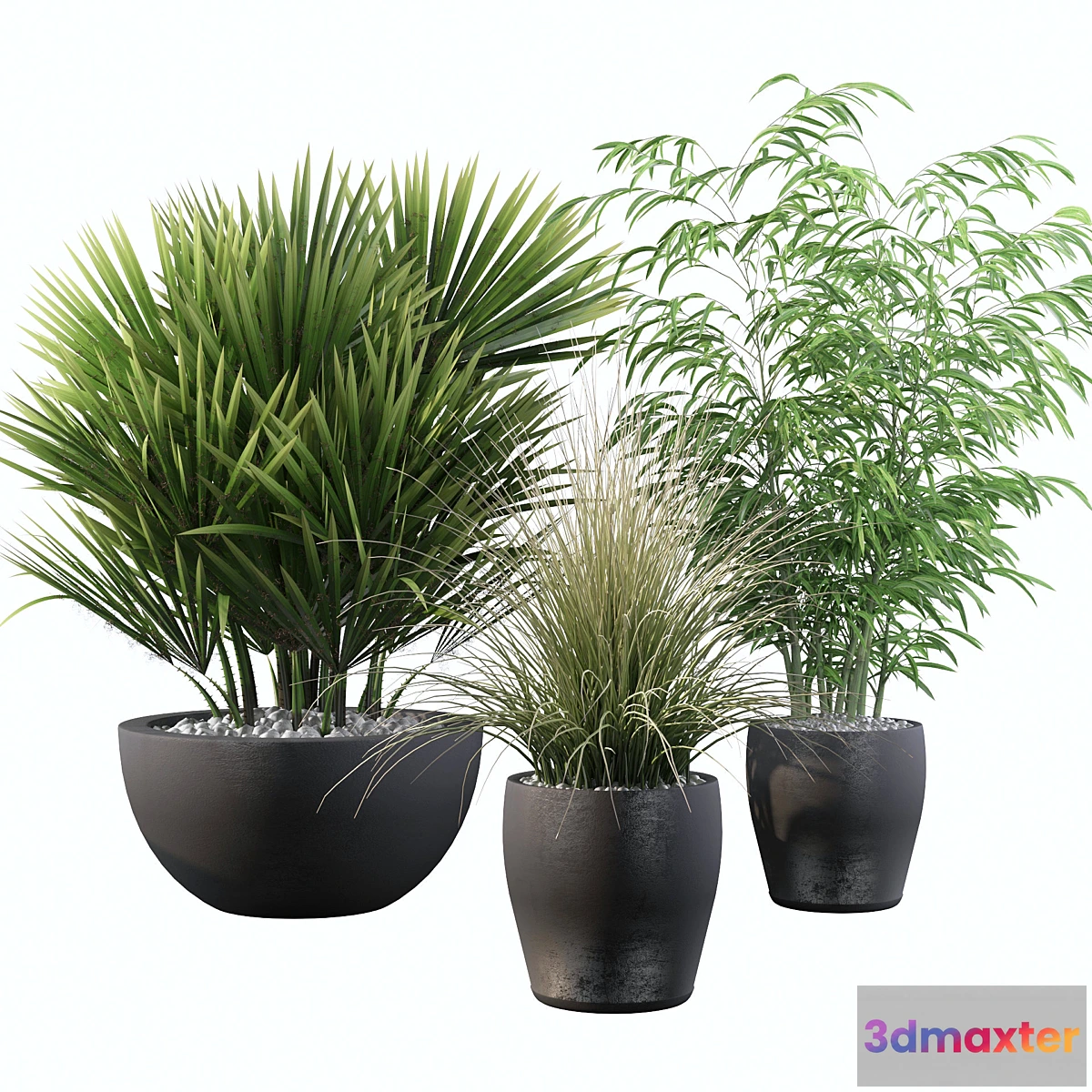 739351 - Plants collection 080 - No.2