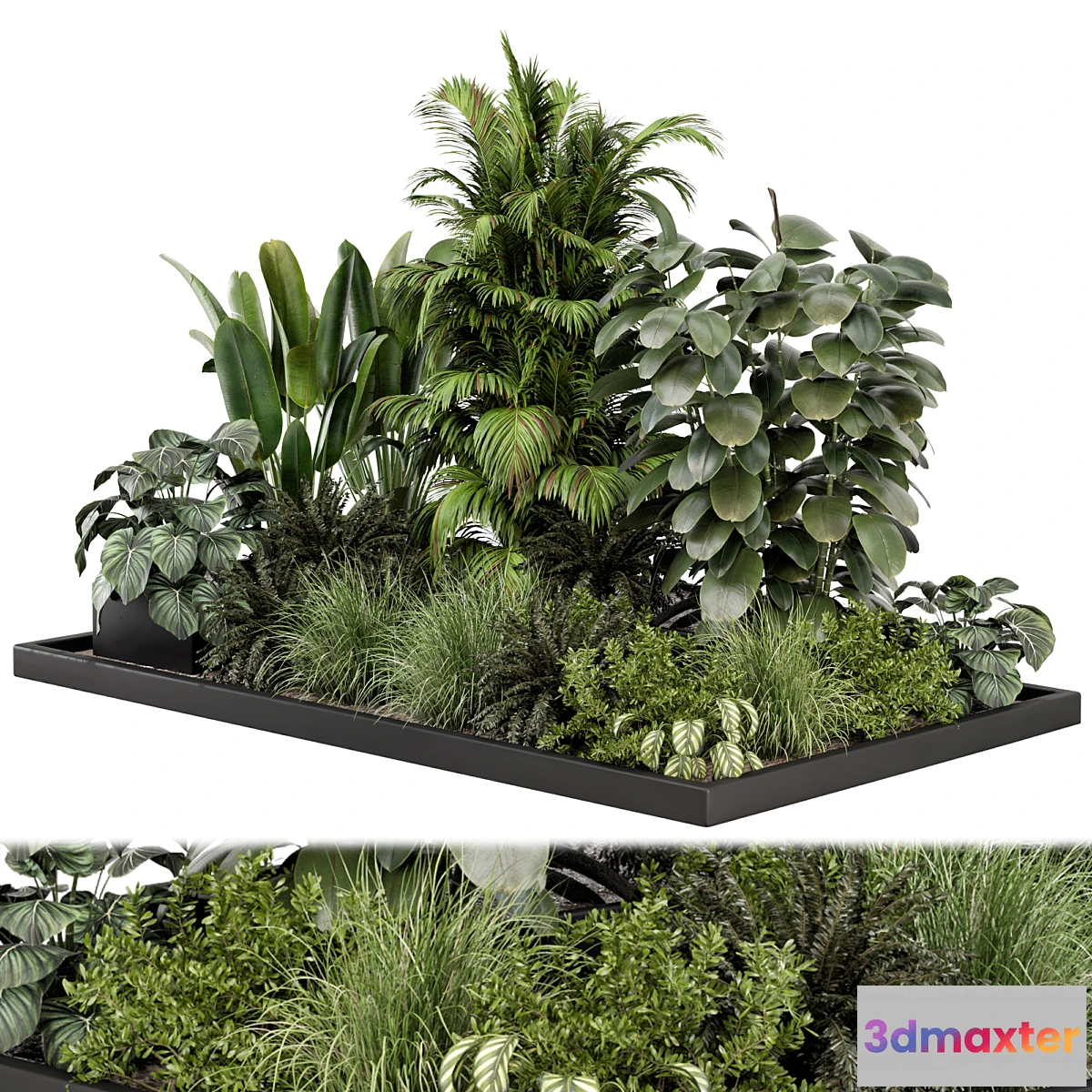 748165 - Outdoor Garden Set Bush and Tree - Garden Set 1030 - No.2
