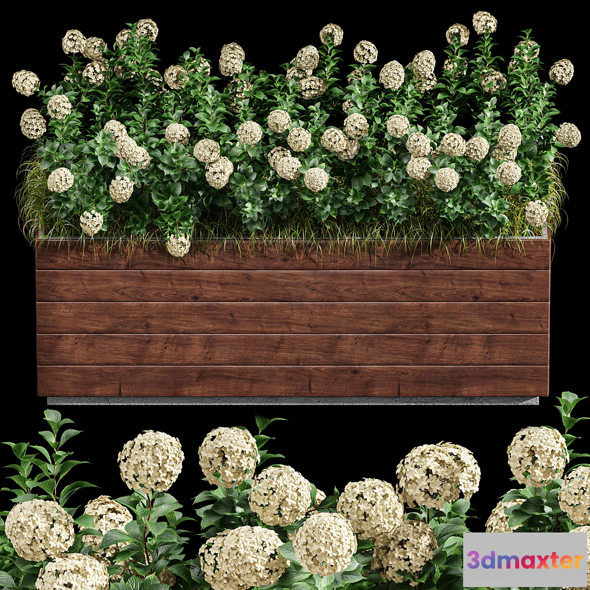 749261 - Outdoor Plant Set 001 - Plant Box