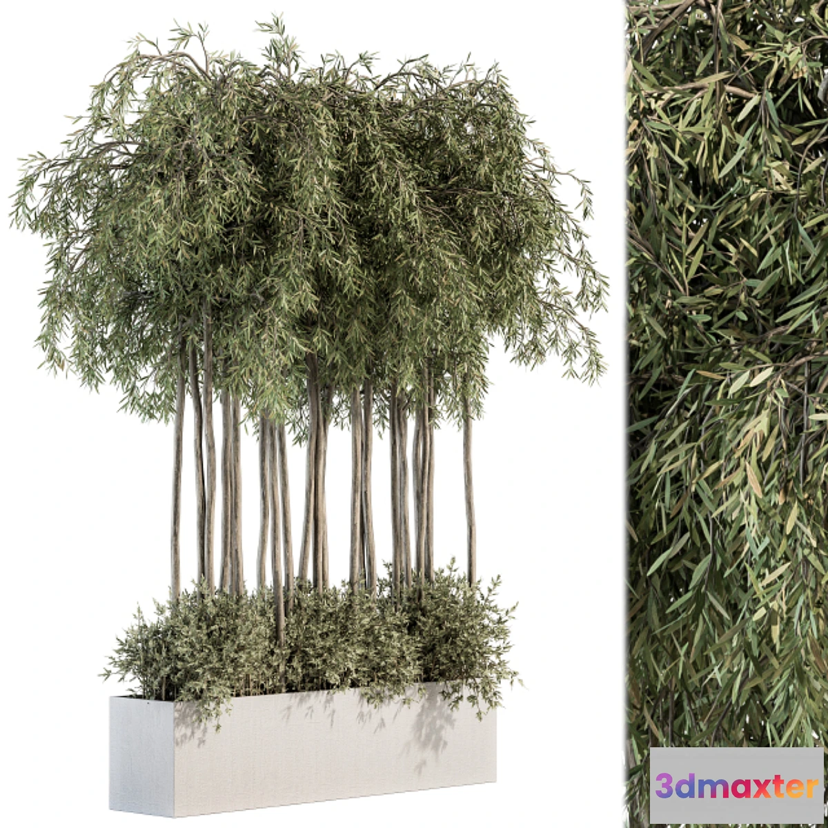 749497 - Outdoor Plant Set 264 - Plant Box