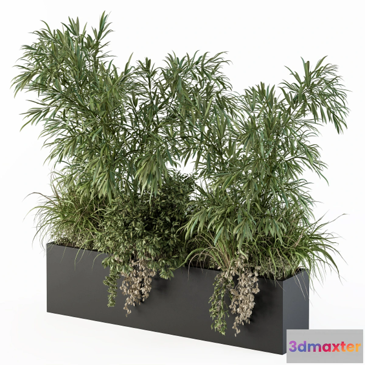 749501 - Outdoor Plant Set 252 - Plant Box with Bamboo Tree