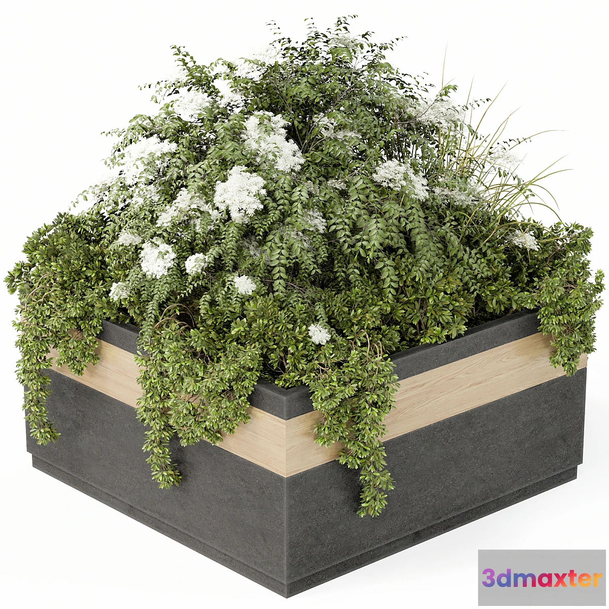 749507 - Outdoor Plant Set 02