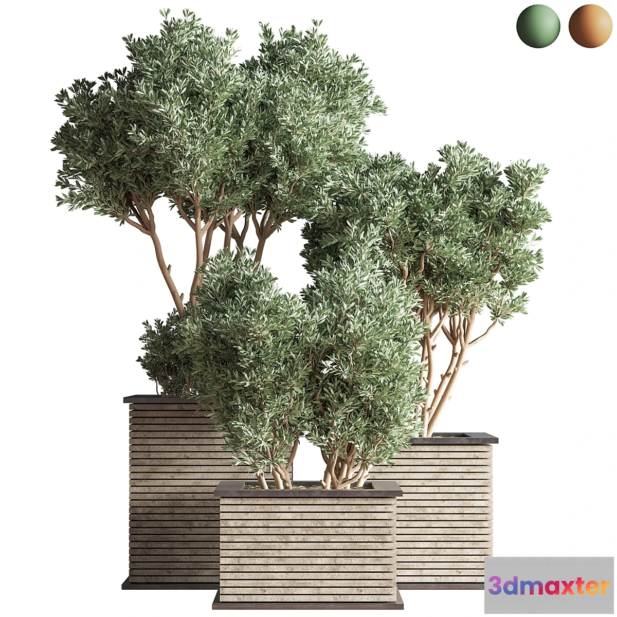 749533 - Outdoor_Plants_tree_22 - No.2