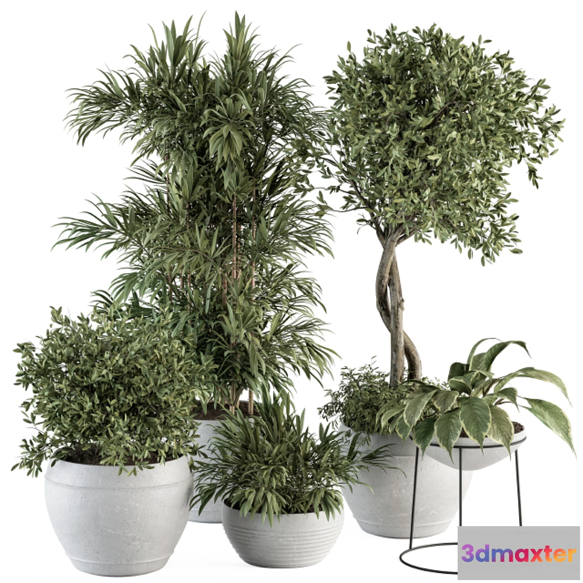 749545 - Outdoor Plant Set 323- Plant and Tree Set - No.2