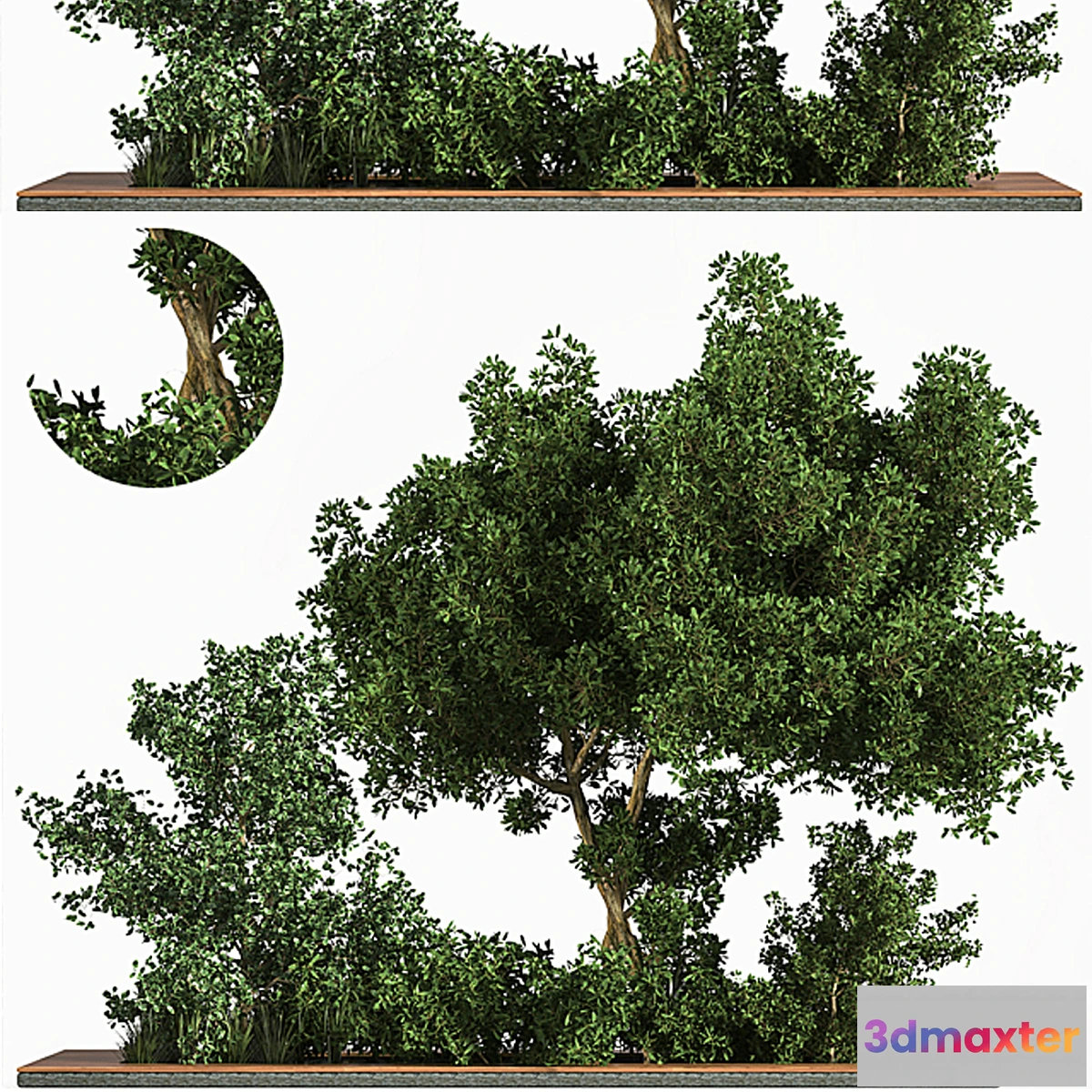 749575 - Garden_set_Grass _ & _ Tree - No.2