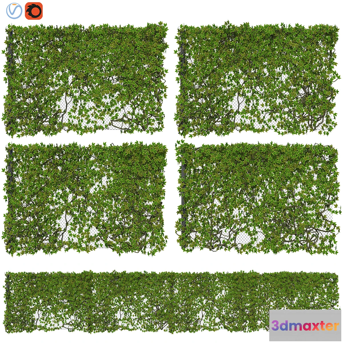 749581 - Fence with Ivy v12 - No.2