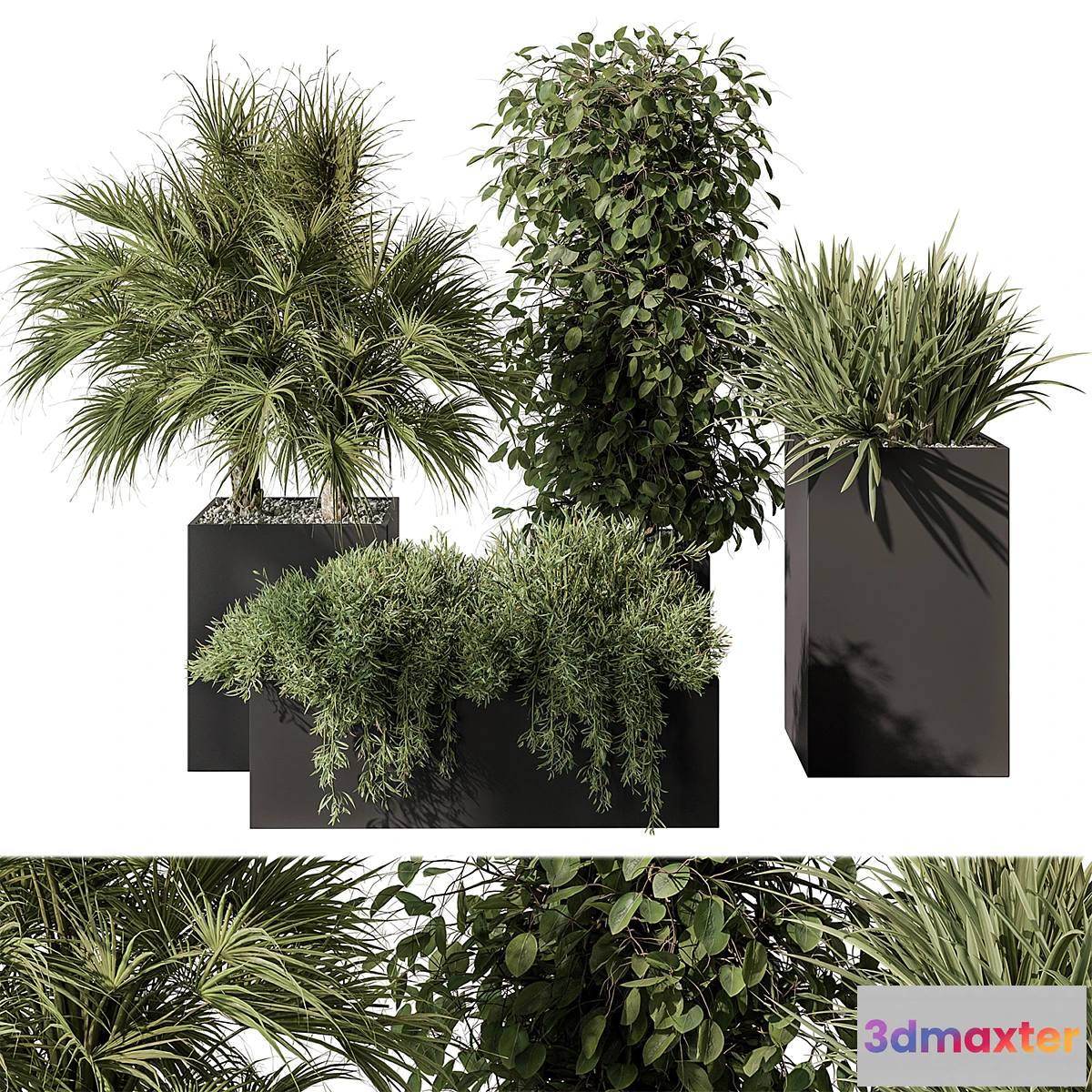 749595 - Outdoor Plant Set 402 - Plant Set in Plant Box - No.3