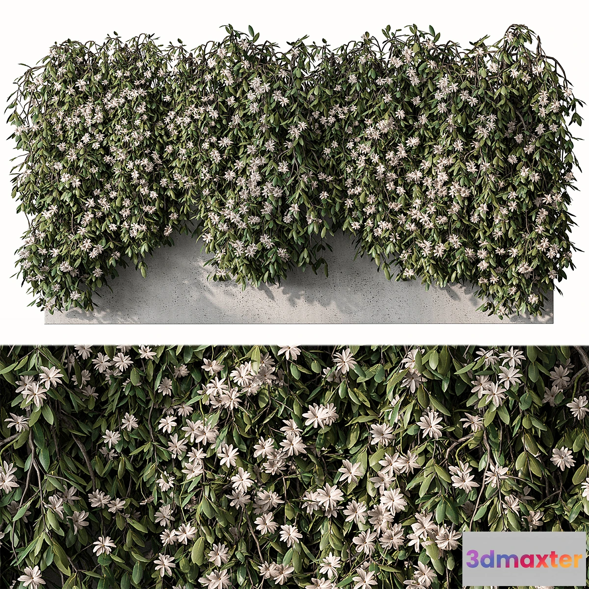 749601 - Outdoor Hanging Plants with White Flower - Set 390 - No.2