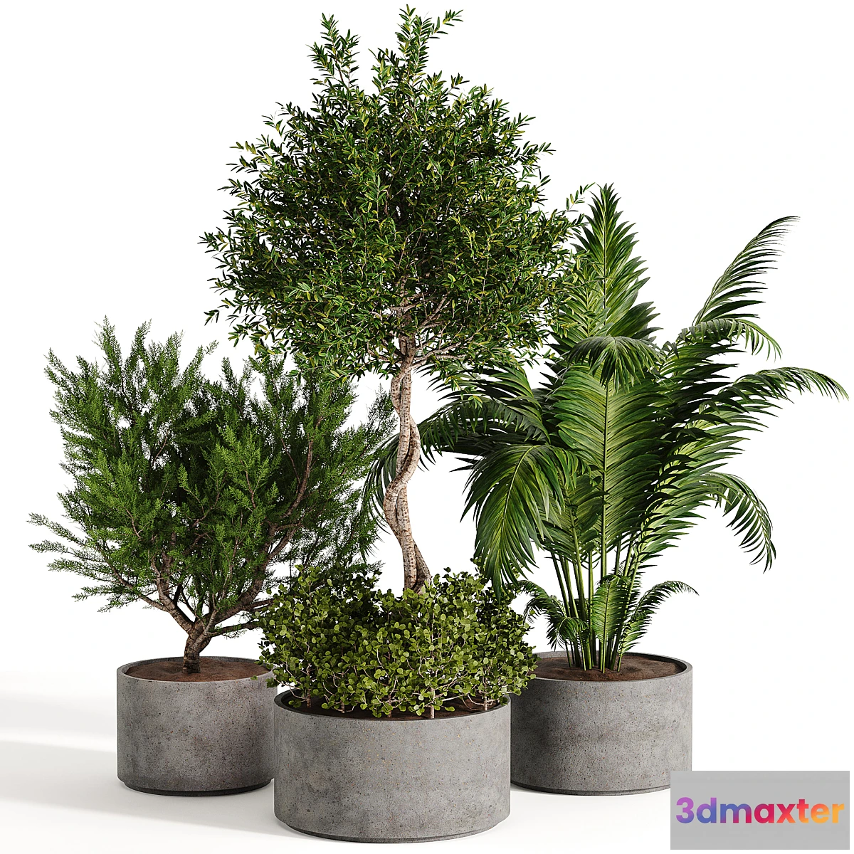 749621 - Outdoor plant collection 02