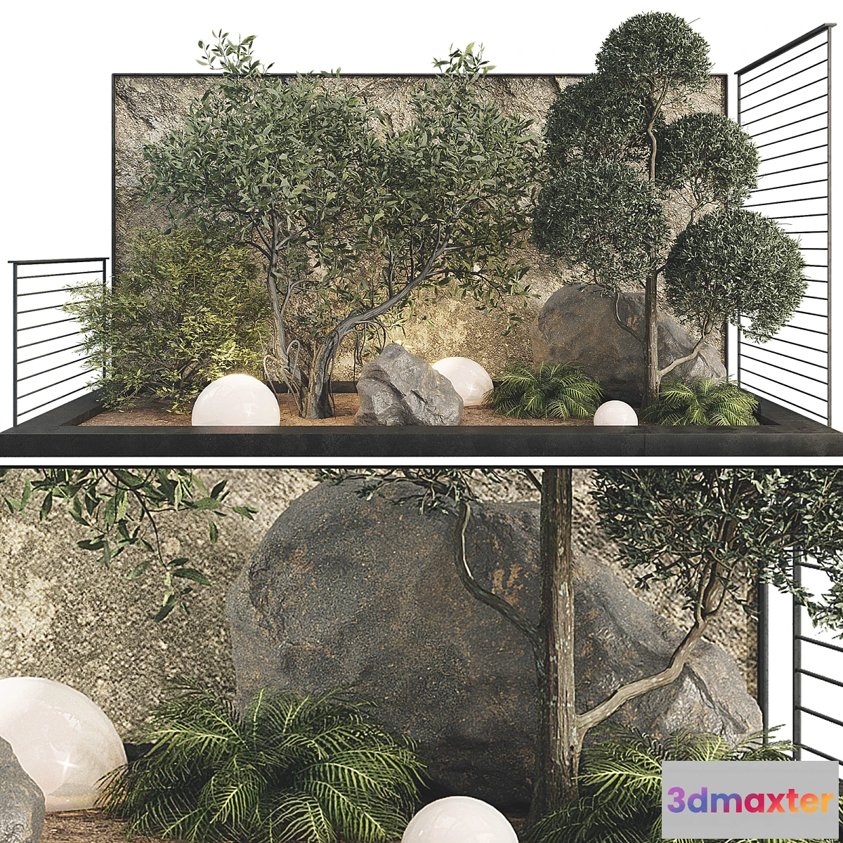 749667 - Plant Collection Set 36 - No.3