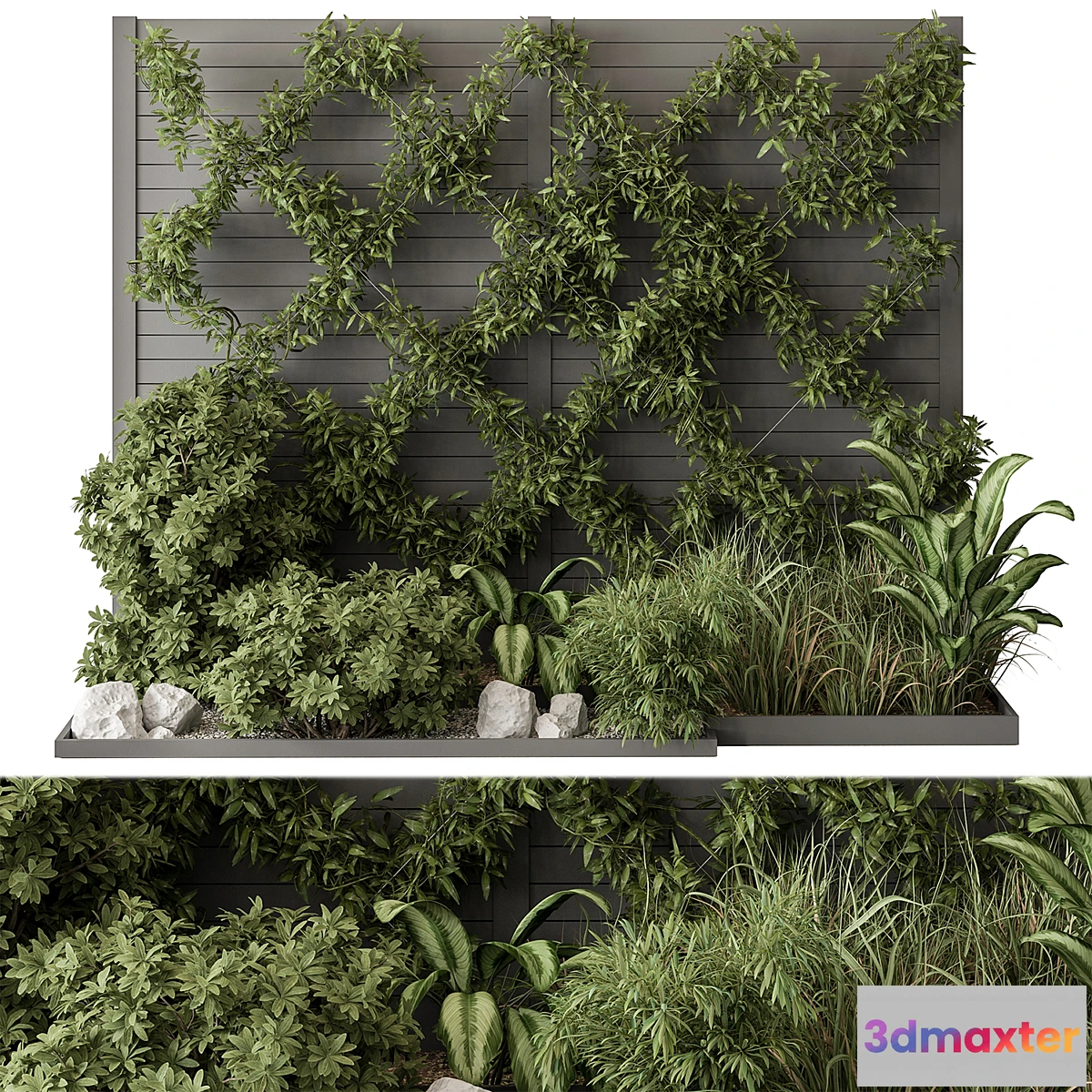 749703 - Outdoor Plant Set 429- Ivy on Wall - No.2