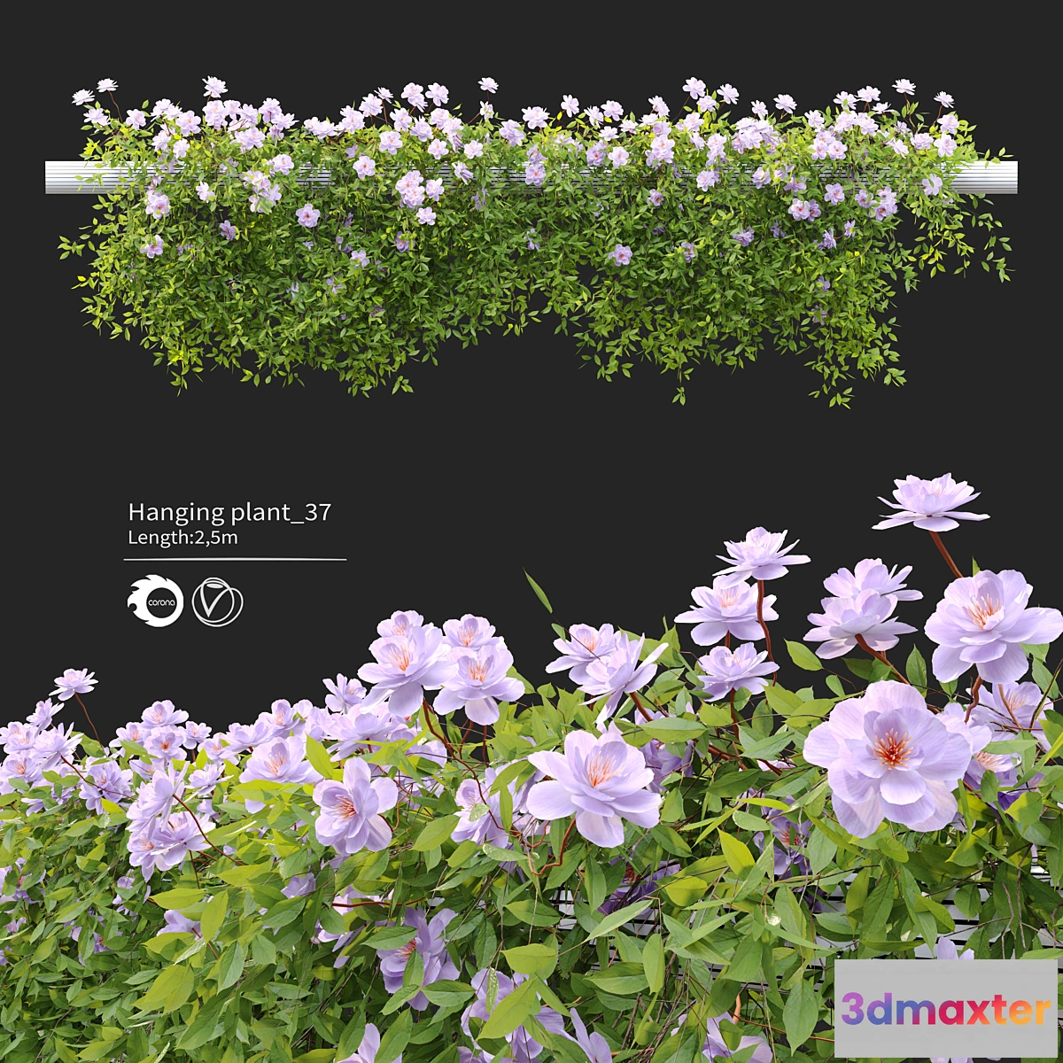 749751 - Hanging Plant 37 - No.2