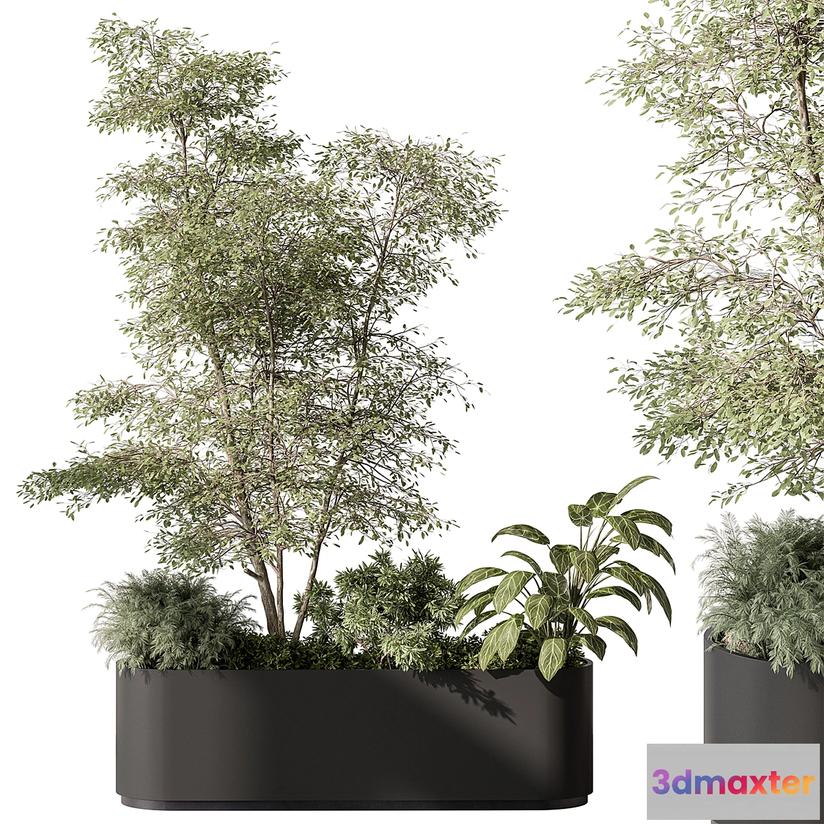 749771 - Plant Box - Outdoor Plants 515 - No.2