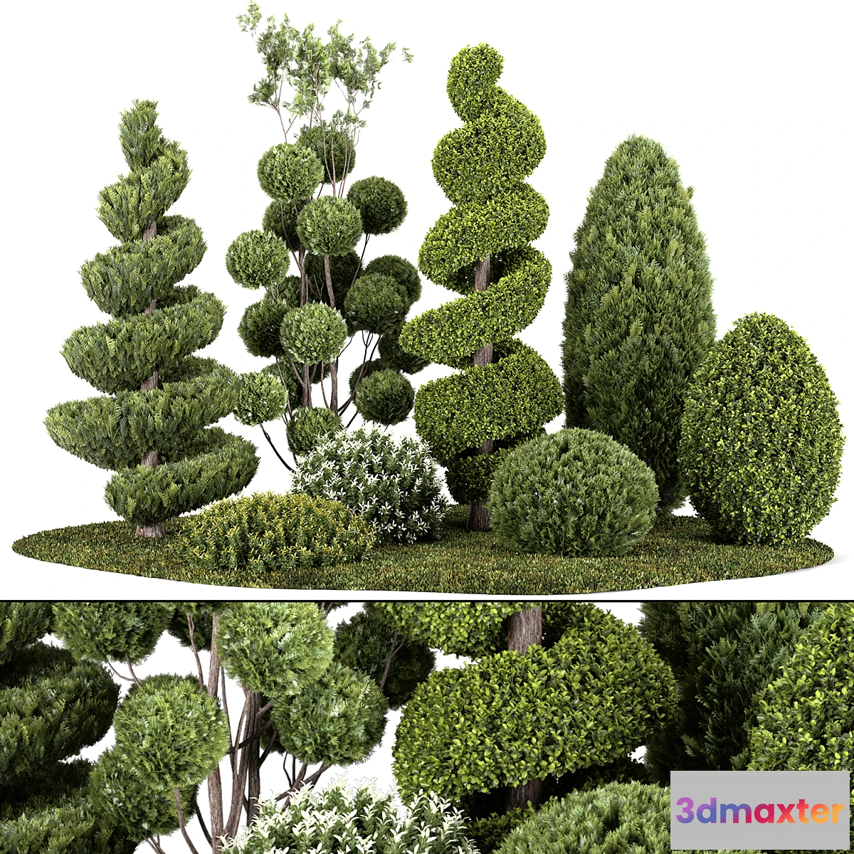 749775 - Group outdoor plants & Hedges - No.3