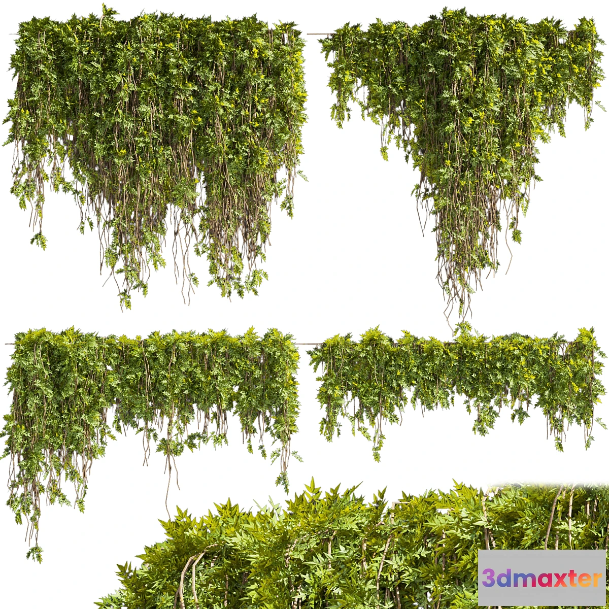 749779 - Collection plant vol 425 - No.3