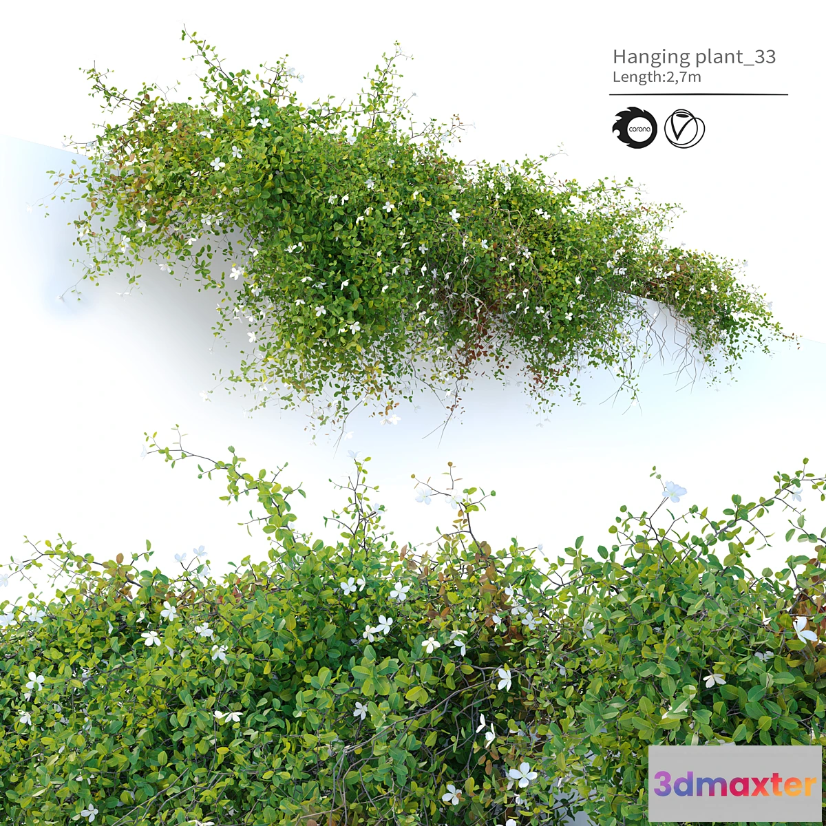 749791 - Hanging plant_33 - No.2