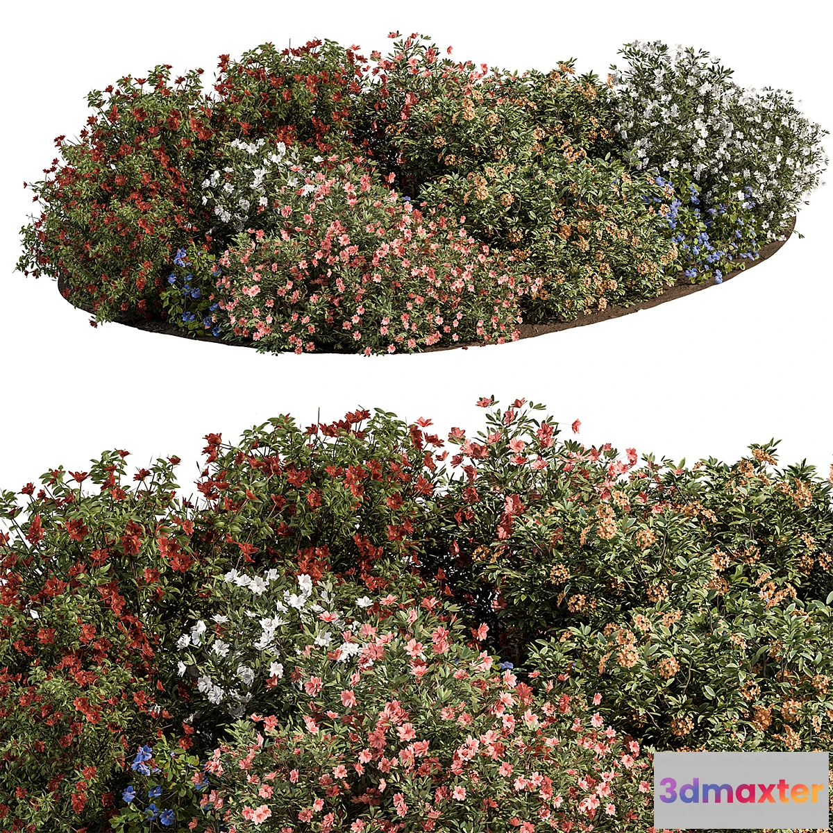 749793 - Garden colorful Flower Bush - Set 452 - No.2