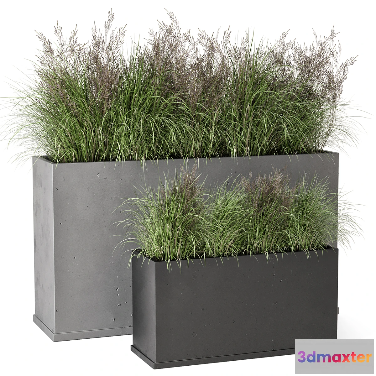 778067 - Outdoor Plants Bush in rusty Concrete Pot - Set 565 - No.2