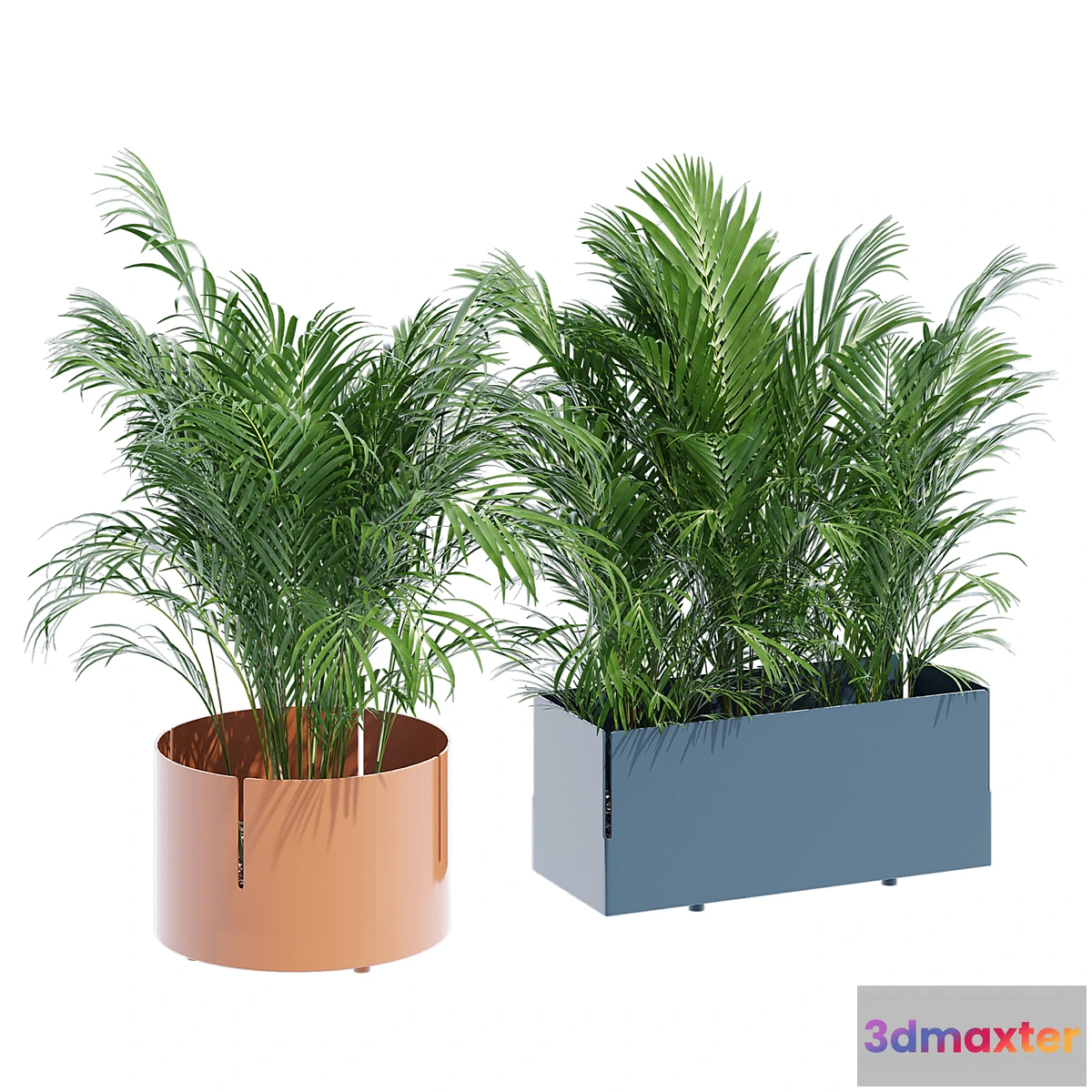 778079 - Robertirattan - No.3