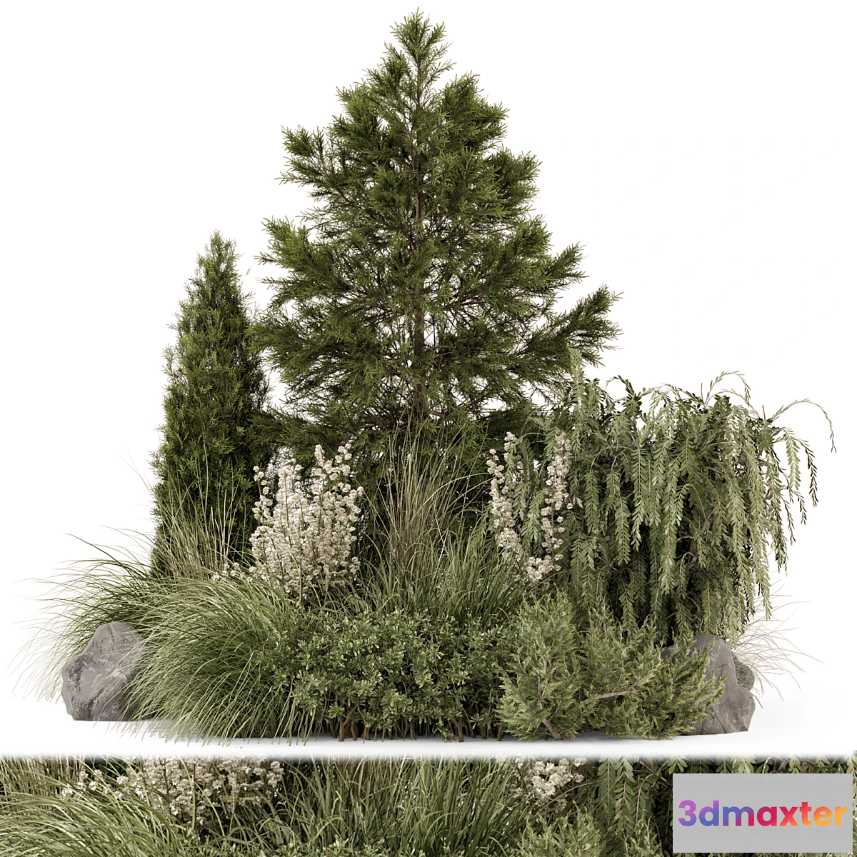 778095 - Outdoor Plants Bush Collection -Bush Set 1578 - No.2