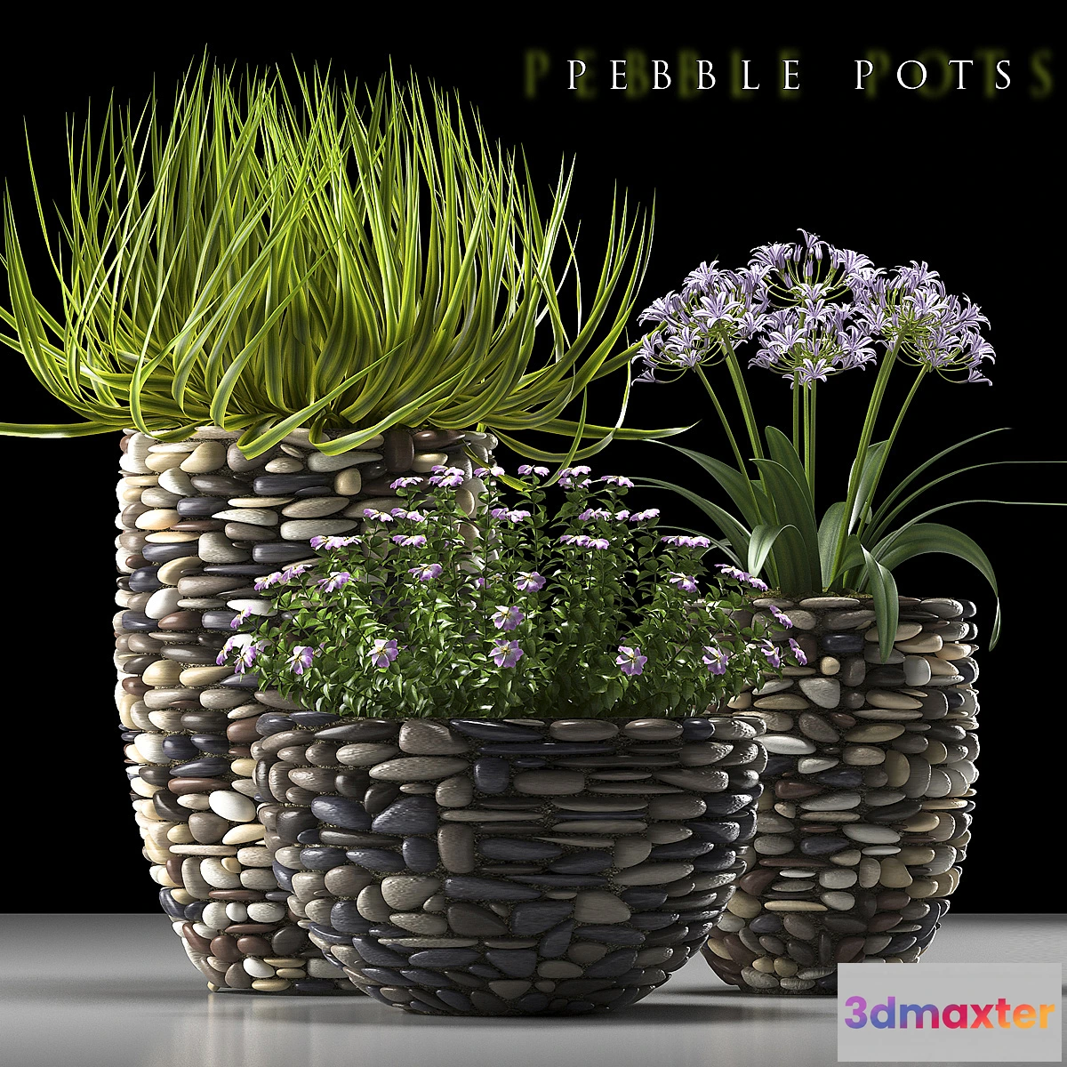 792246 - PLANTS 57 - No.3