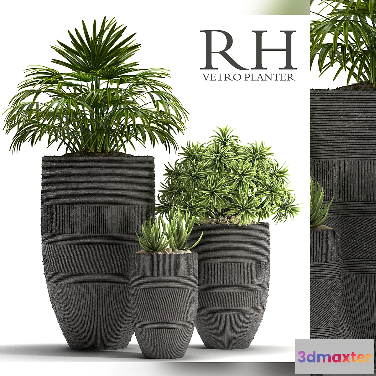 792272 - PLANTS 42 - No.3