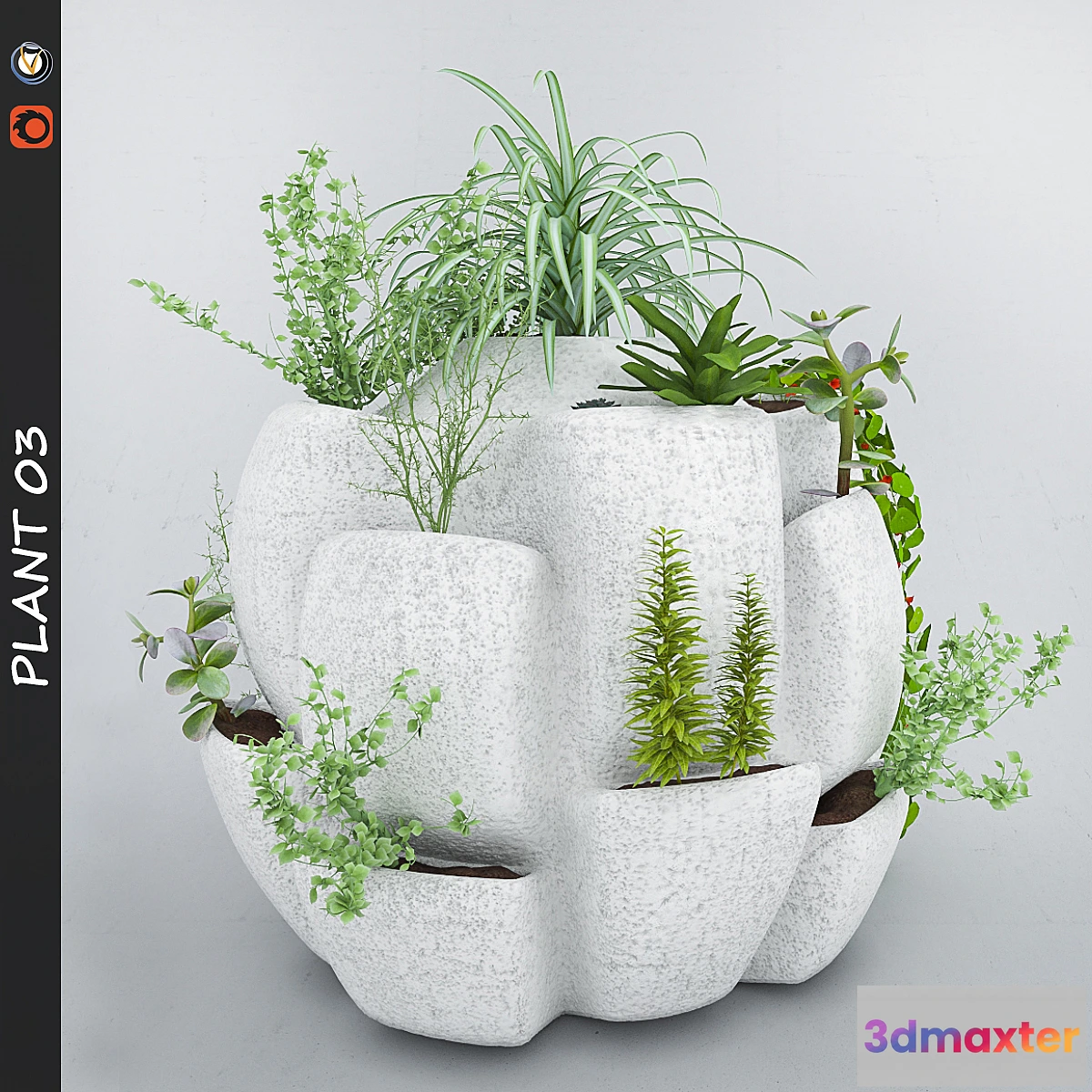 792306 - Plant 3 - No.8