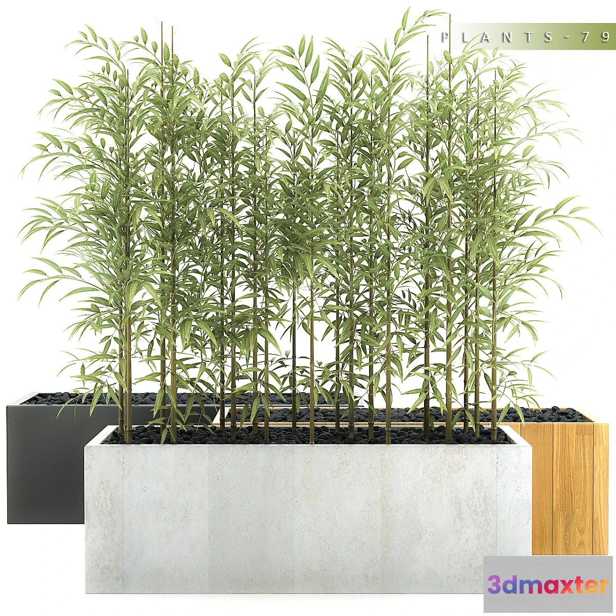 792392 - PLANTS 79 - No.2