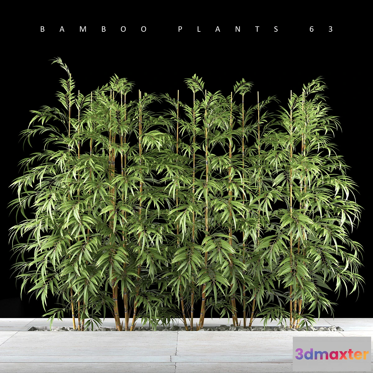 819088 - BAMBOO PLANTS 63 - No.4