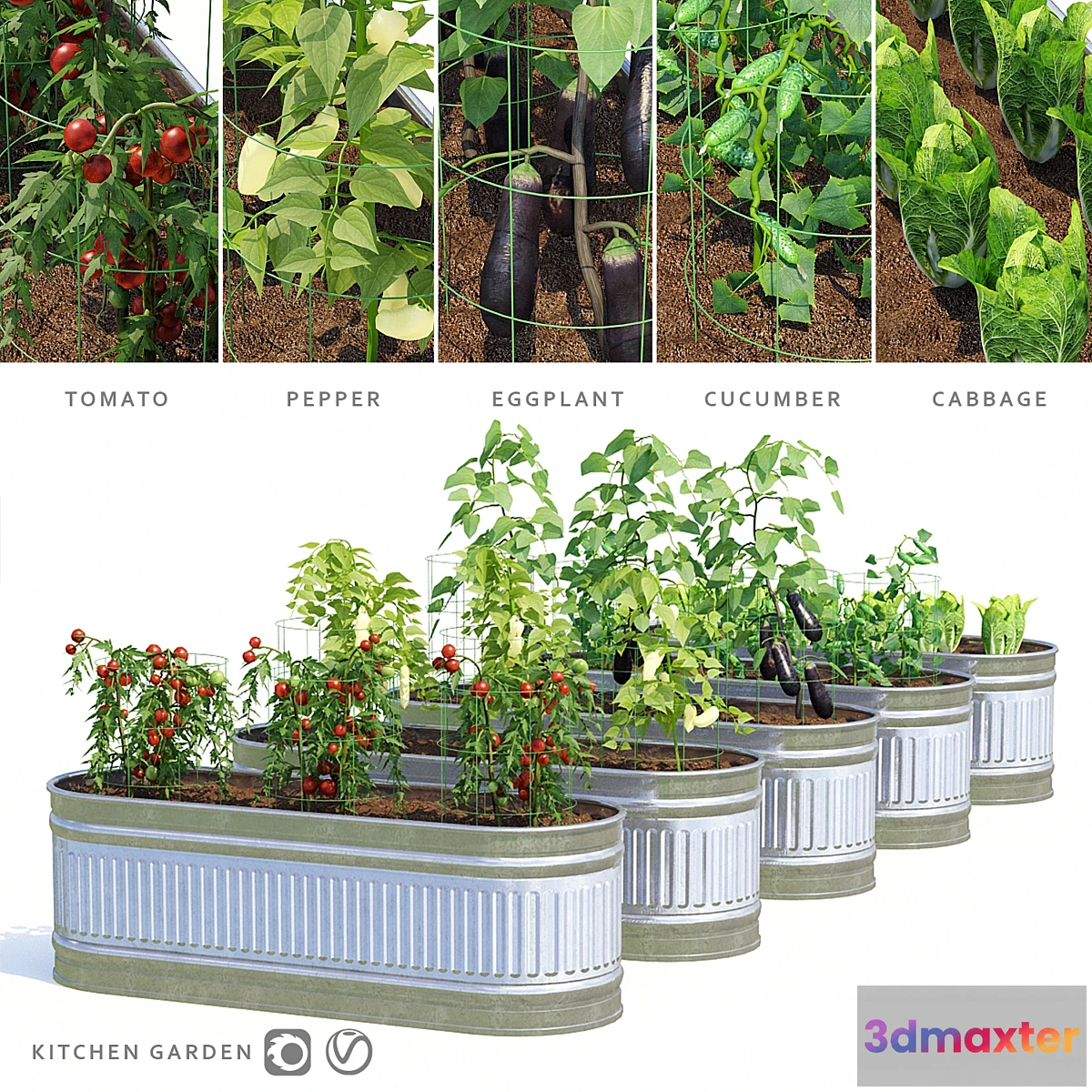 819164 - Garden  Kitchen garden - No.3