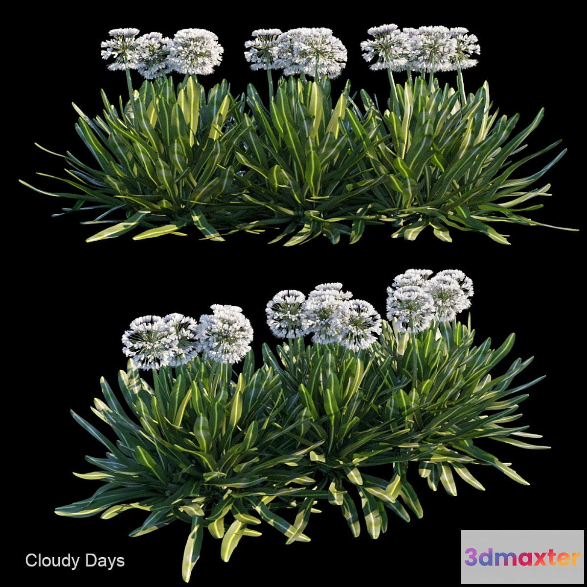 819288 - Cloudy days