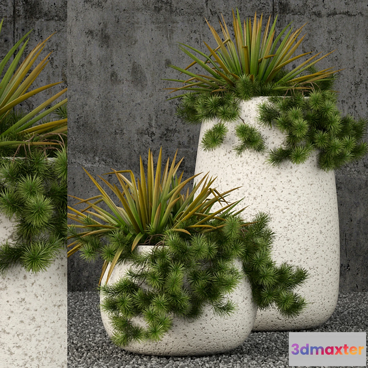 819508 - Plants collection 57