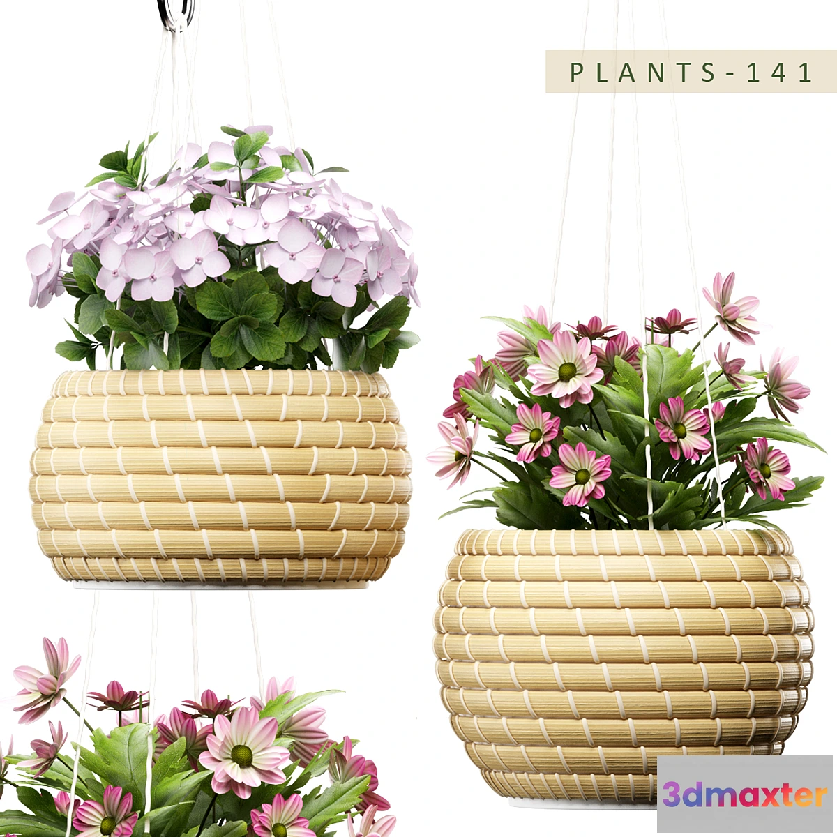 819644 - PLANTS 141
