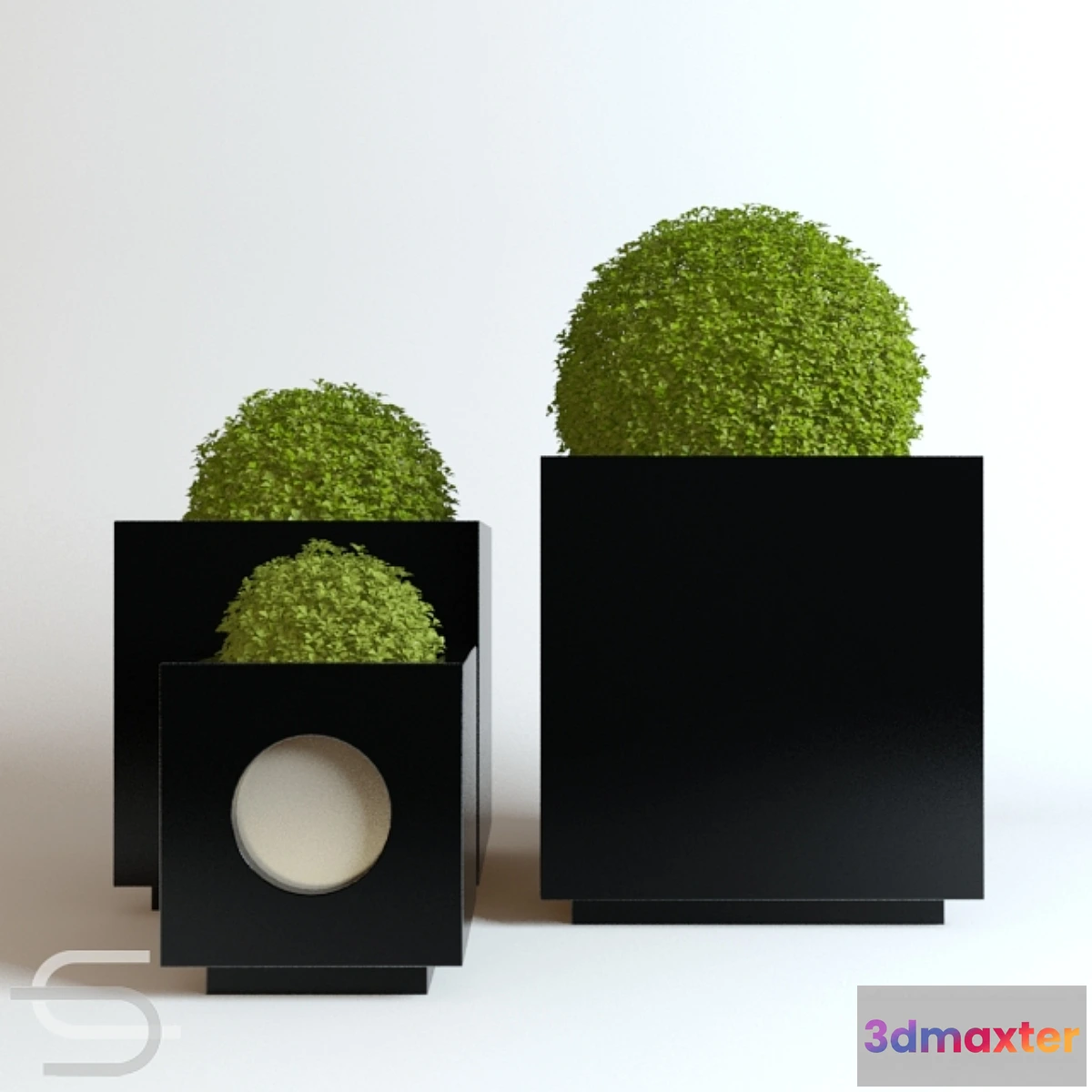 819666 - Plant CEDE 07 - No.3