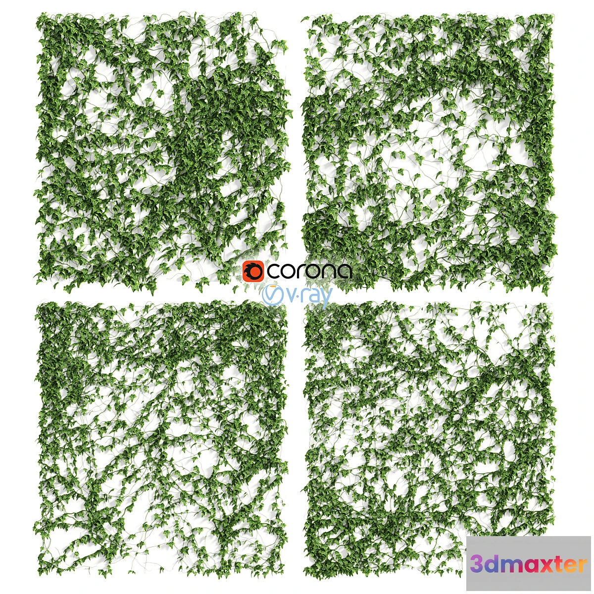 819706 - Ivy Wall 4 models