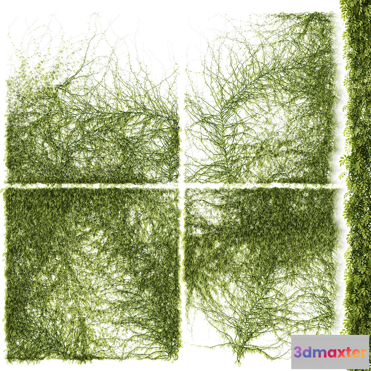 819742 - Leaves for walls v3 - No.2