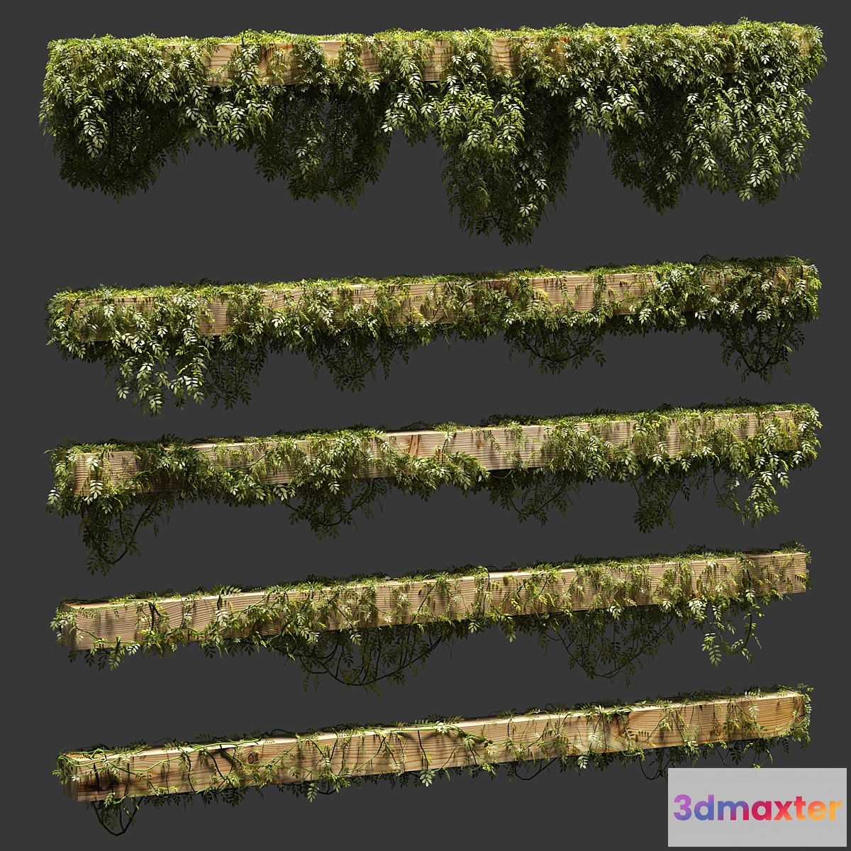 819744 - Leaves for beams. 5 models - No.2