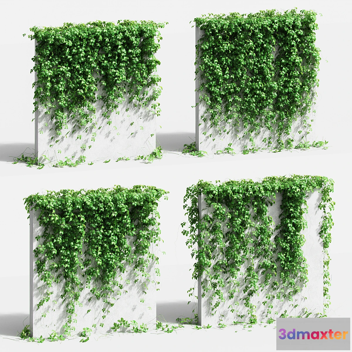 845233 - Wall with grape leaves. 4 models - No.3