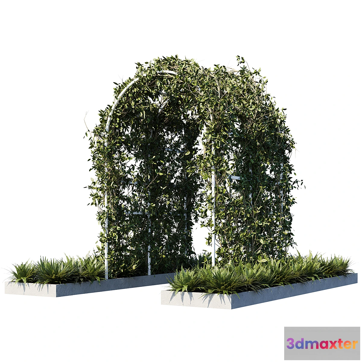 845267 - Outdoor_plants01 - No.3