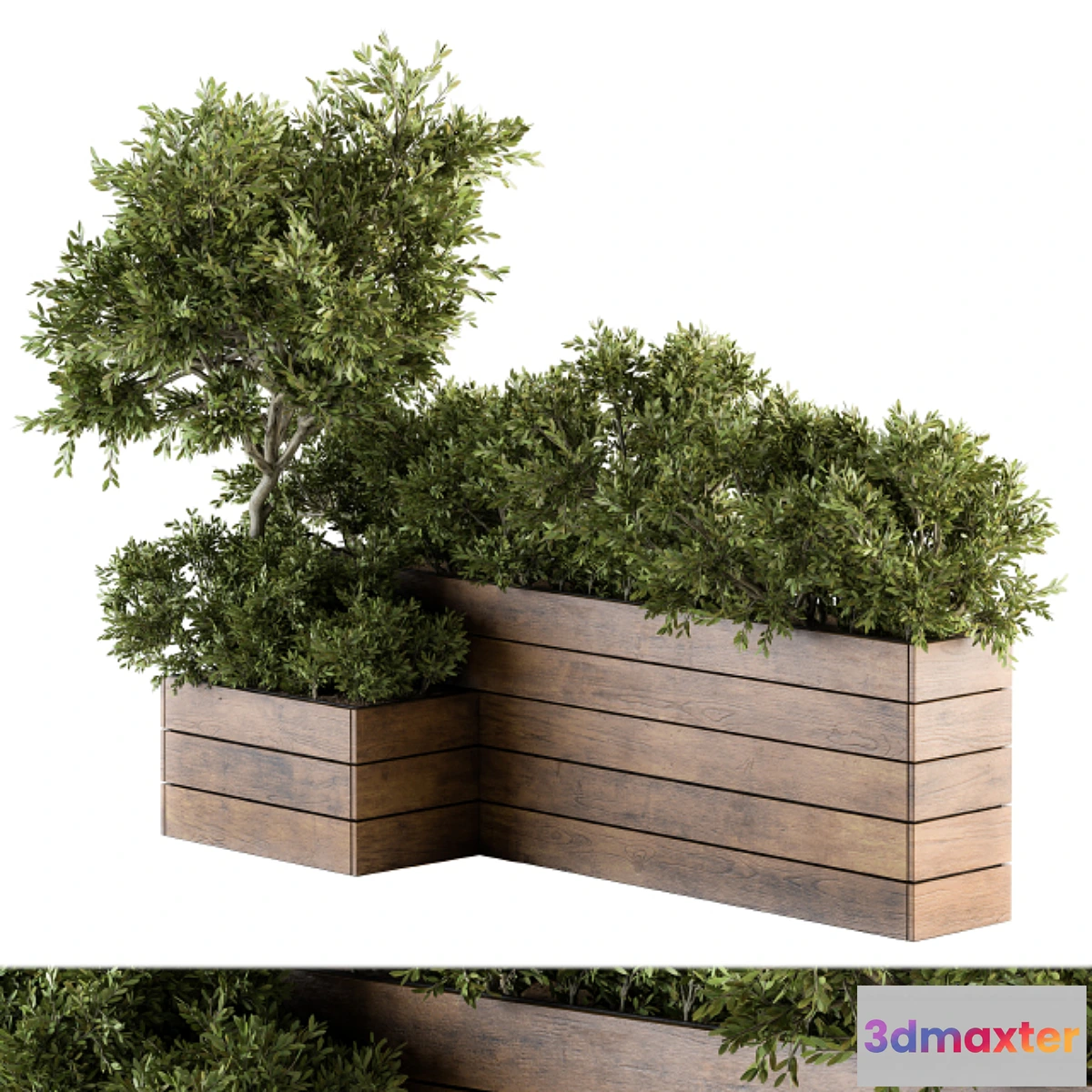 845285 - Outdoor Plants tree in Wood Box - Set 154 - No.3