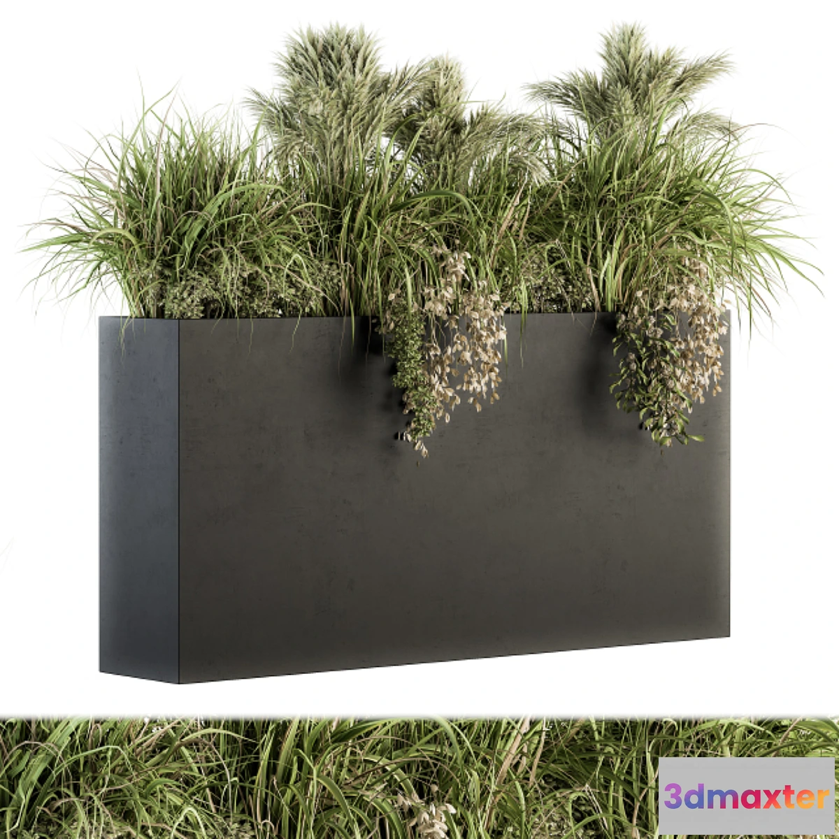 845297 - Outdoor Plants tree in Plant box - Set 124 - No.3