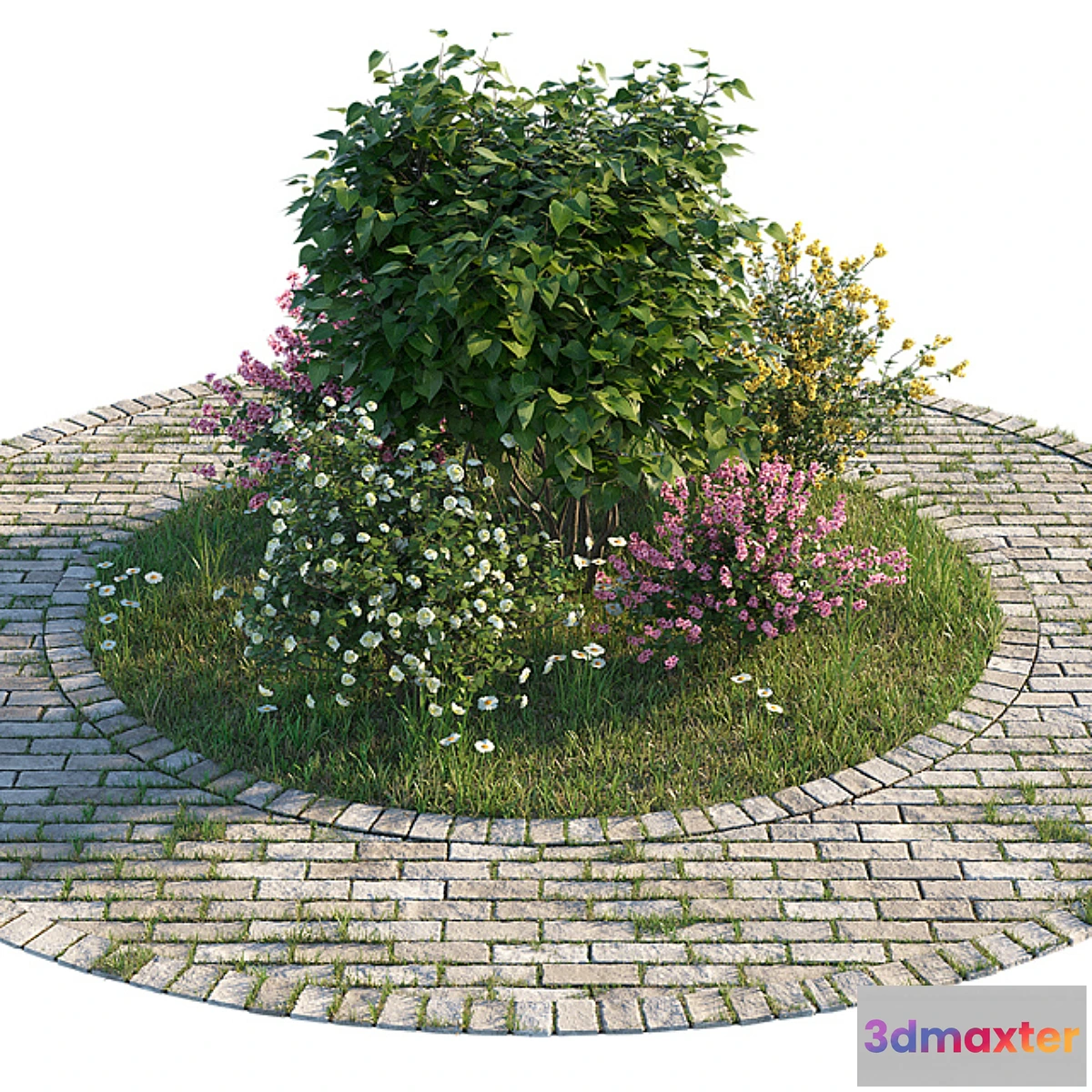 845329 - Flowerbed with bushes and grass