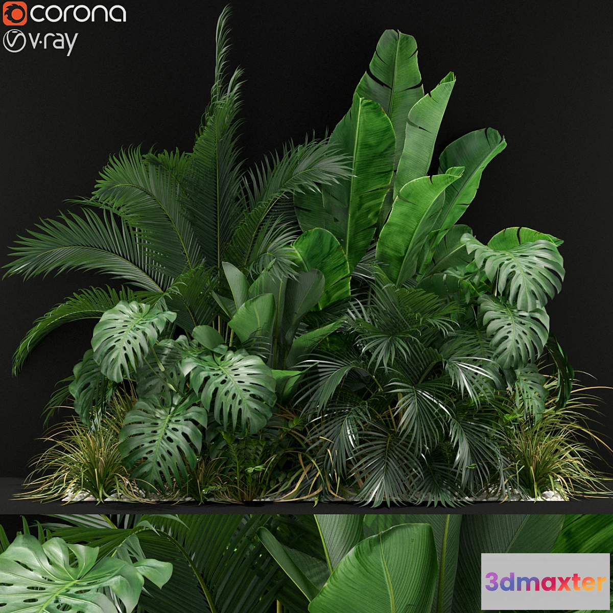 845337 - Plants collection 357 - No.3