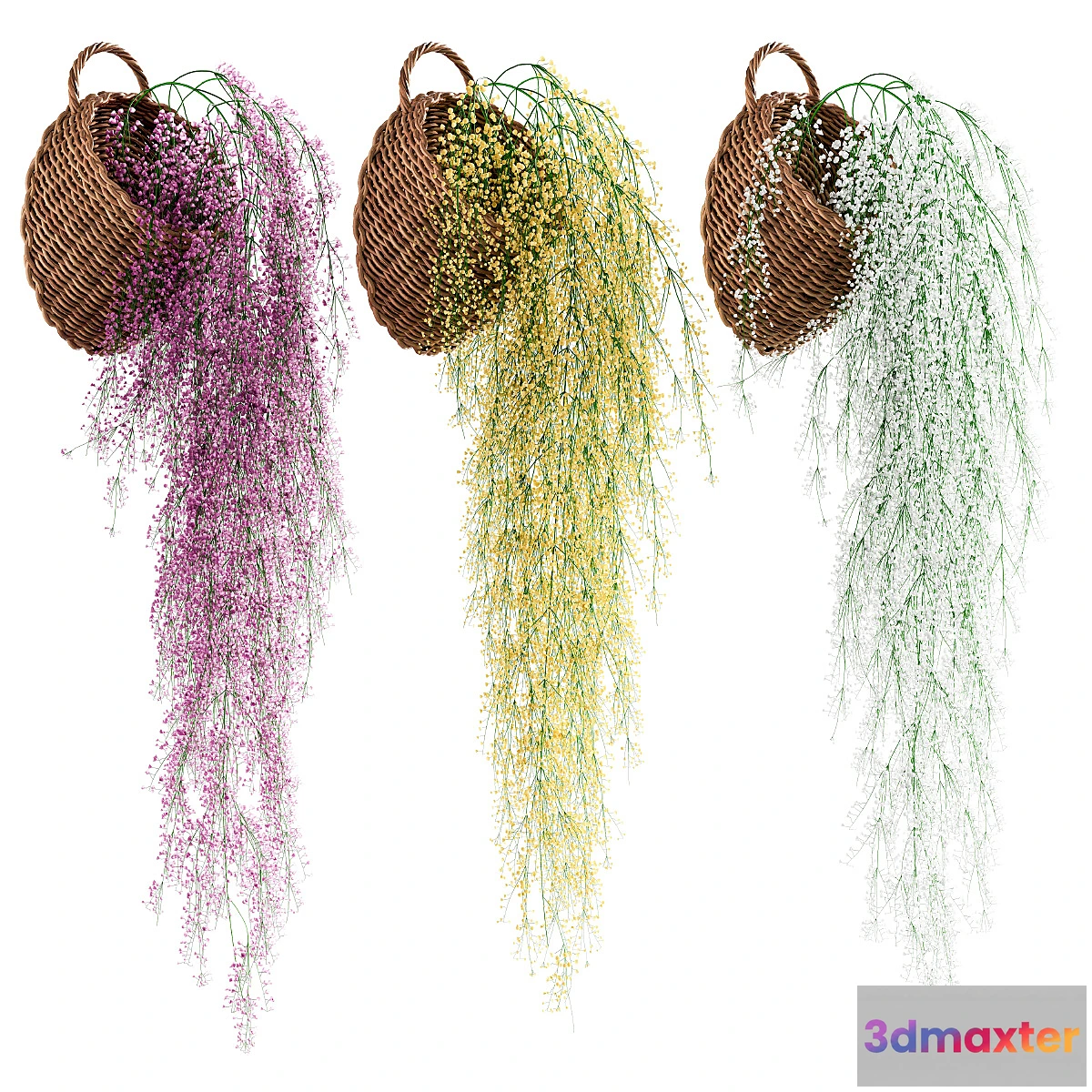 845367 - Hanging plants in wicker pots
