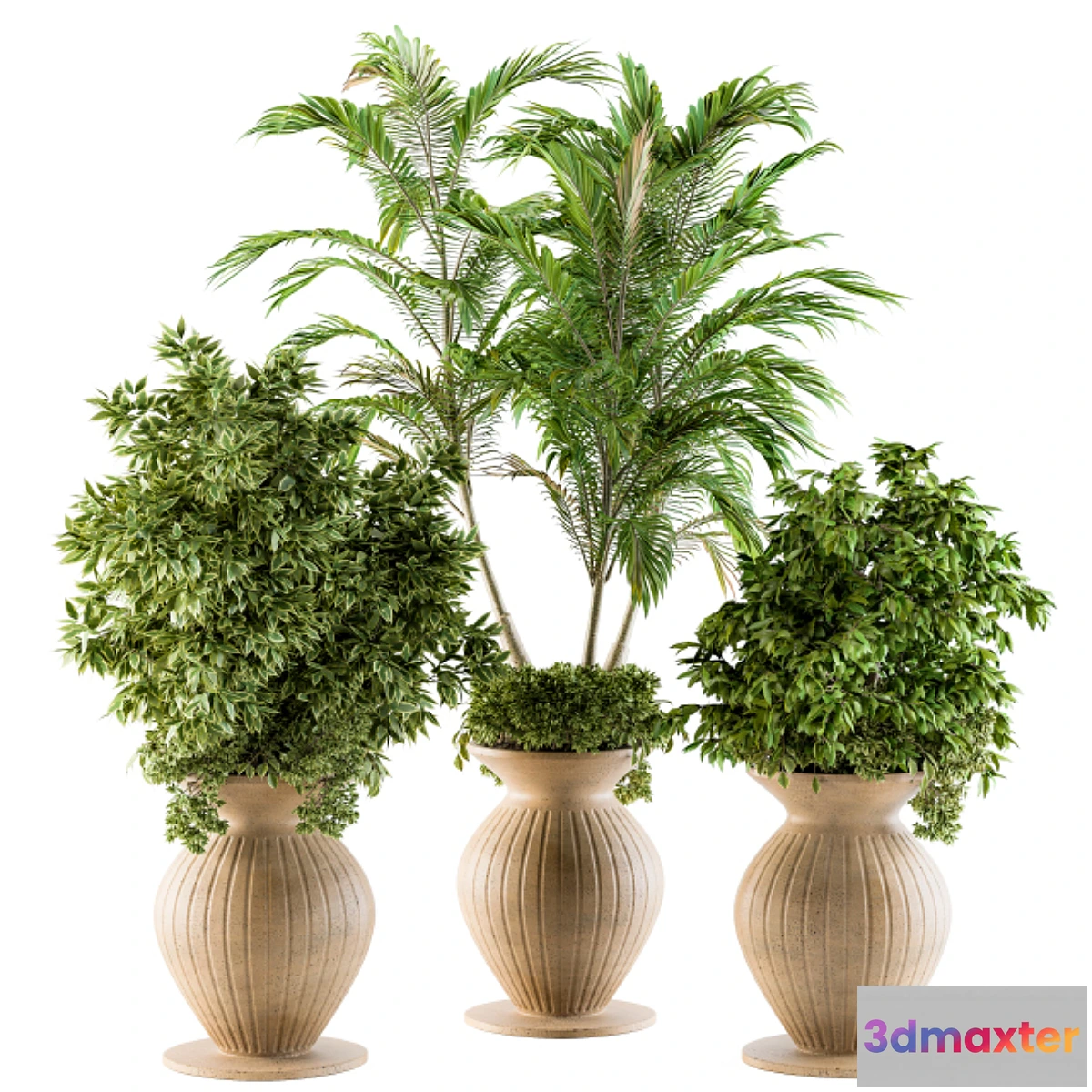 845373 - Outdoor Plants - Set 88 - No.3